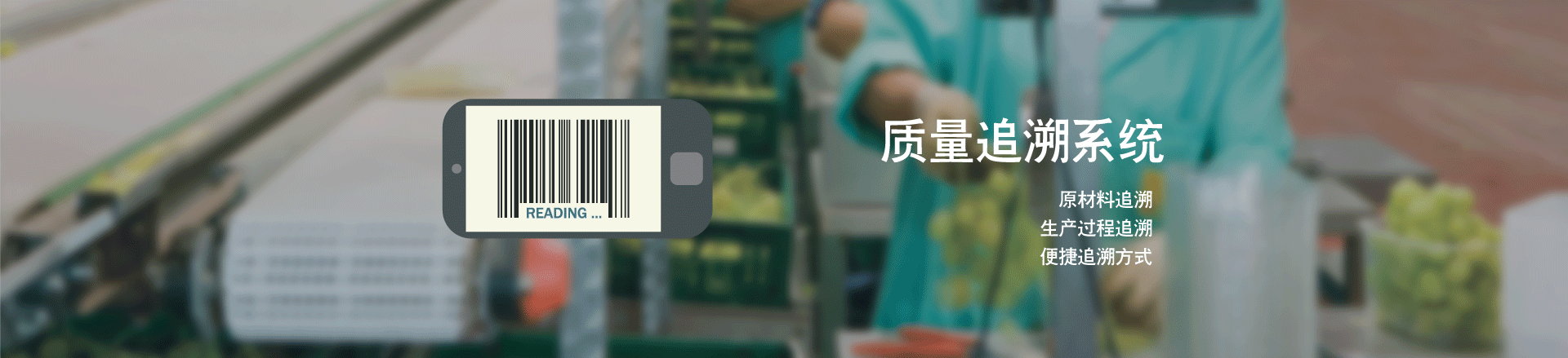广告横幅2